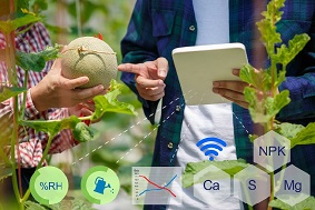 數(shù)字農(nóng)場(chǎng)建設(shè)有哪些難點(diǎn)