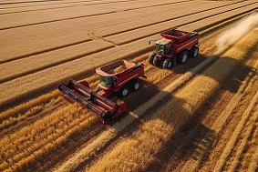 高標(biāo)準(zhǔn)農(nóng)田建設(shè)有哪些困難