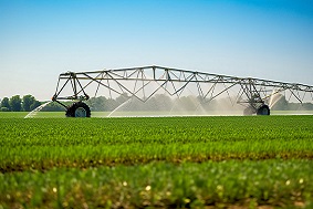 高標(biāo)準(zhǔn)農(nóng)田跟普通農(nóng)田有什么不一樣