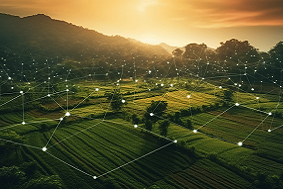 高標準農田管理模式——現代農業(yè)發(fā)展的關鍵