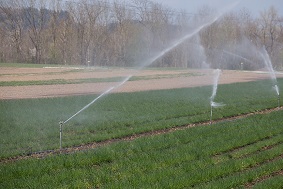 水肥一體化系統(tǒng)包括哪些硬件設(shè)備